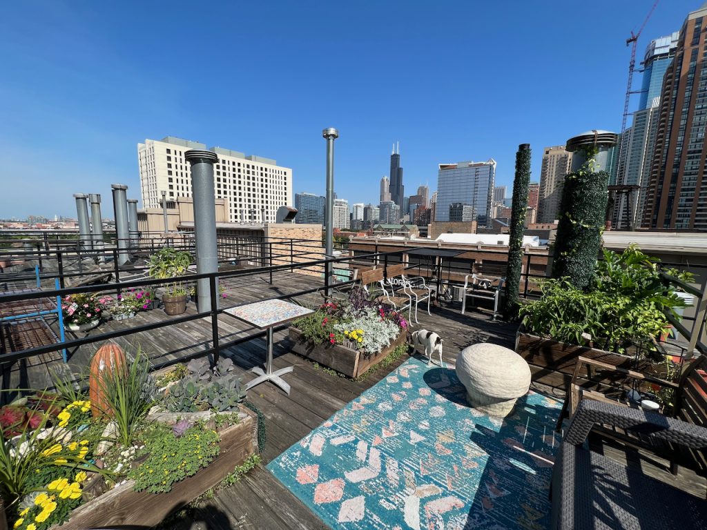 Roof deck with garden planters and skyline view