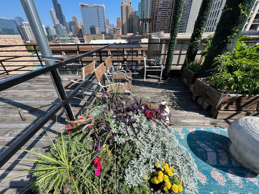 Private rooftop garden with flowers and Chicago skyline, South Loop condo