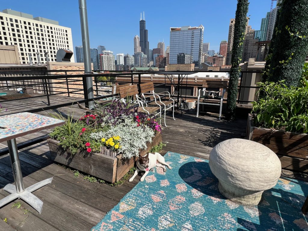 Roof deck seating and planters in the South Loop