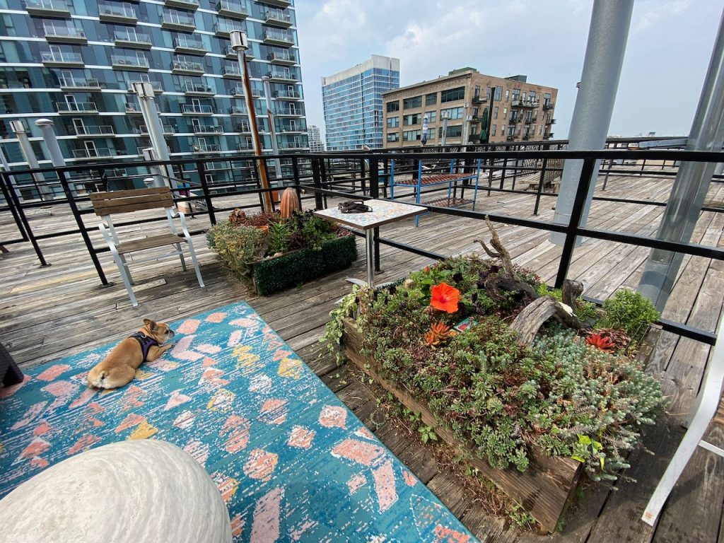 Private roof deck with garden planters and flowers in the South Loop