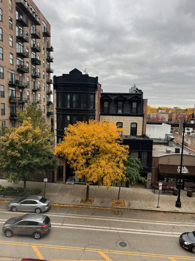 West window view of fall trees and historic buildings on Wabash