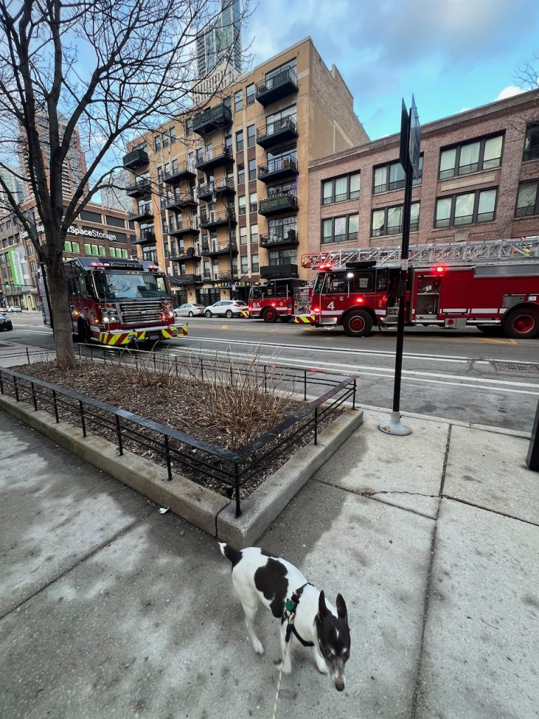 Walking the South Loop sidewalks near Wabash